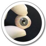 تمريرة العين