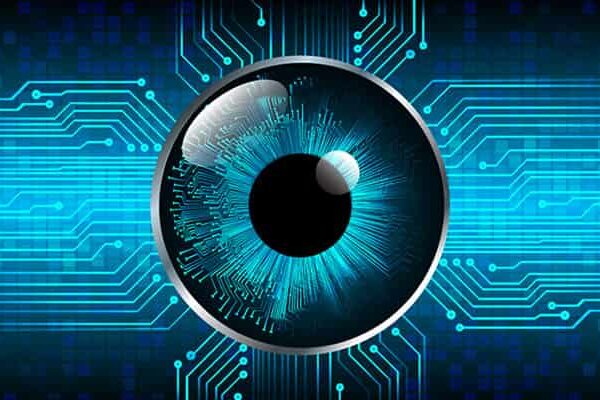 التطورات في زراعة الشبكية